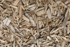biomass boilers Rapkyns