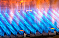 Rapkyns gas fired boilers